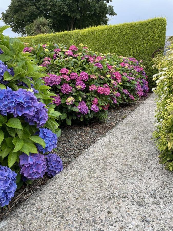 Galloway Farmstay Claunch Newton Stewart Dış mekan fotoğraf