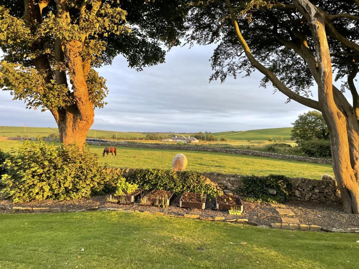 Galloway Farmstay Claunch Newton Stewart Dış mekan fotoğraf